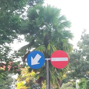 Terima dirimu 