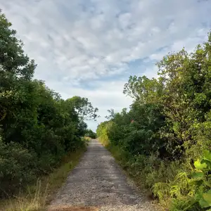 LIFE-Belajar dari pengalaman#Binusian