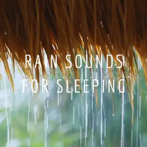 Relaksasi Suara Hujan Tidur Jadi Lebih Nyenyak