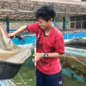 Produktif