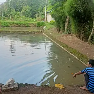 Obrolan orang kampung pinggir kolam 
