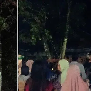 Penunggu Pohon Rambutan