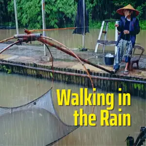 Relaksasi Berjalan di Tengah Hujan Pedesaan Indonesia