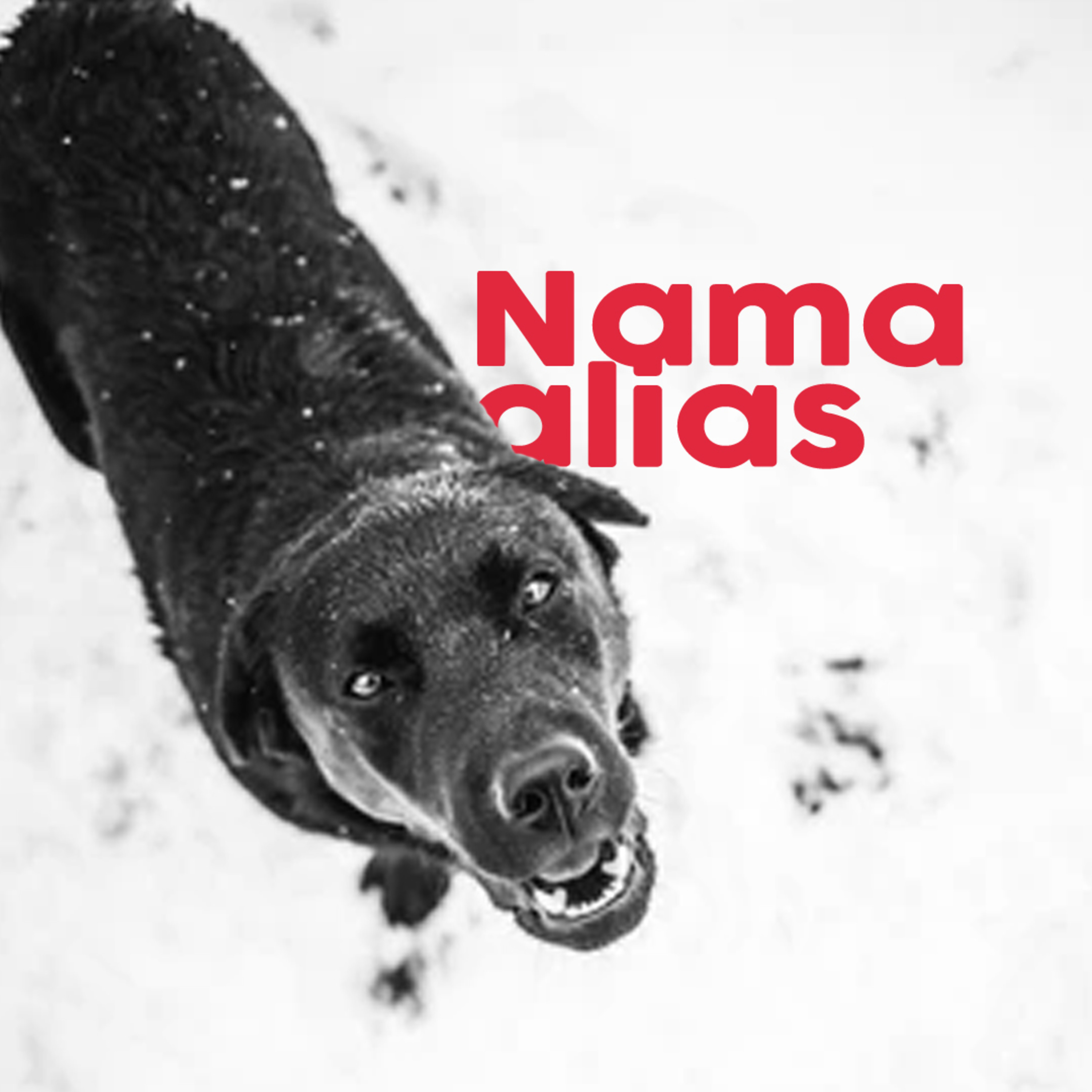Nama Alias