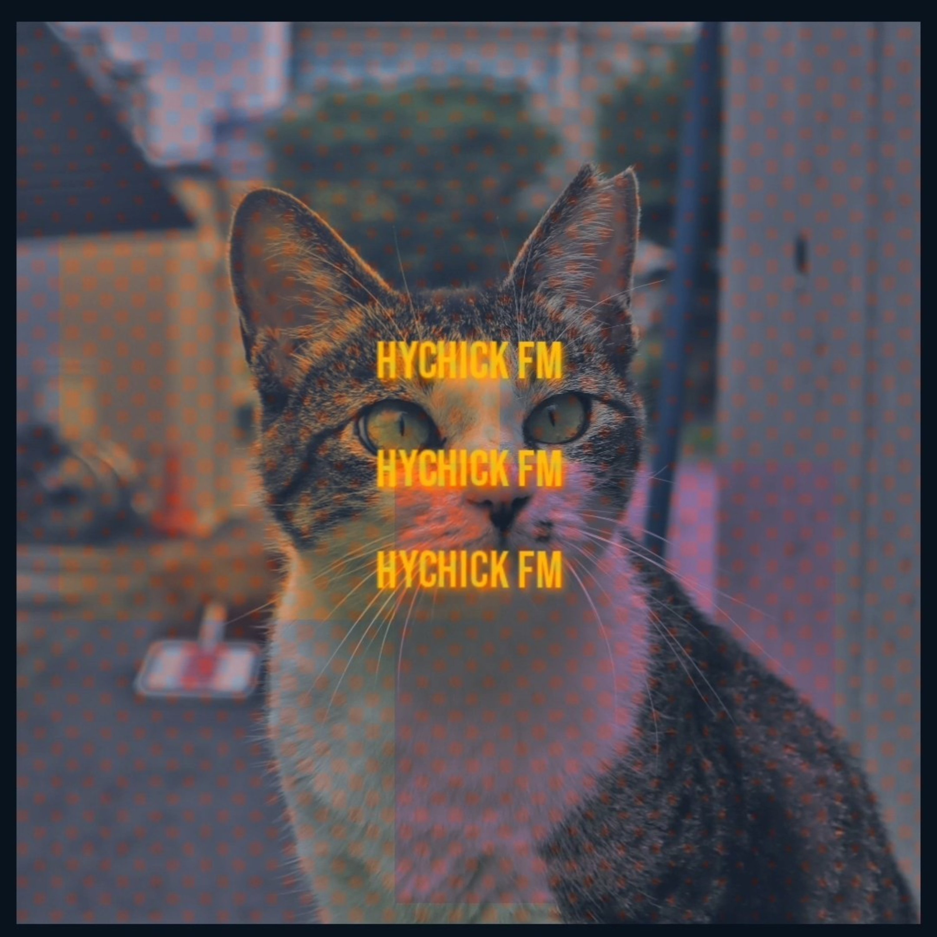 HYCHICK FM #11 - You Can Learn To Remember, Hayati, Kanashibari