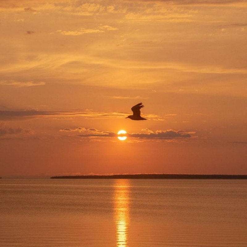 Untuk Apa Aku Pulang?