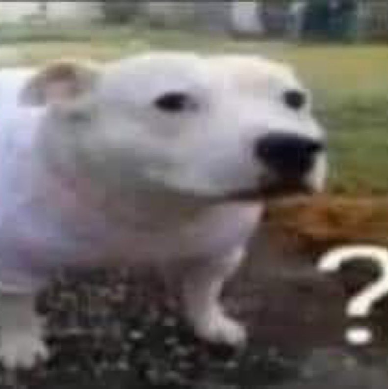 Guys Aku Lagi di KOMPeK Talkshow