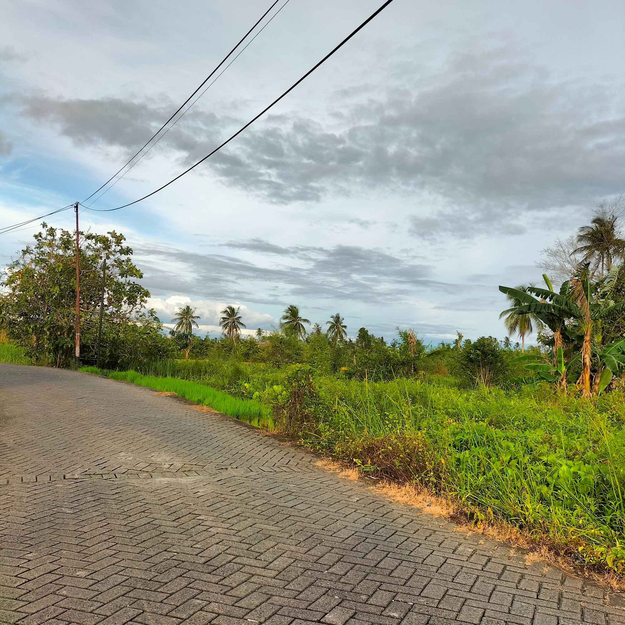 EPS 1. PERSEPSI TENTANG FILSAFAT "TIDAK MENGHASILKAN ROTI"