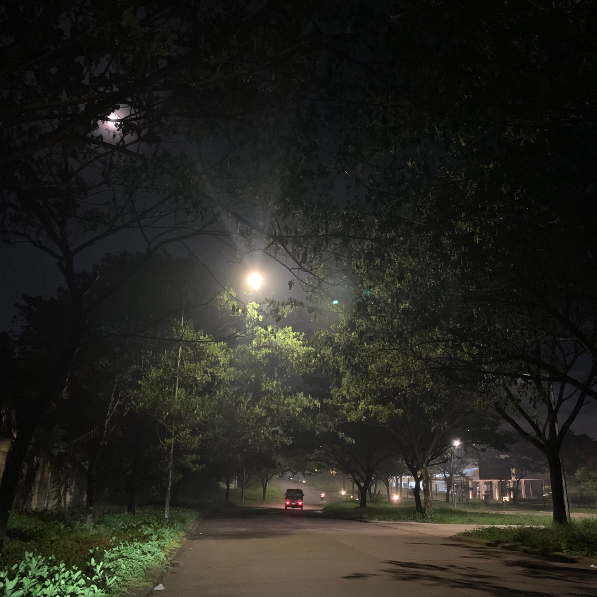 Tentang keluarga saya