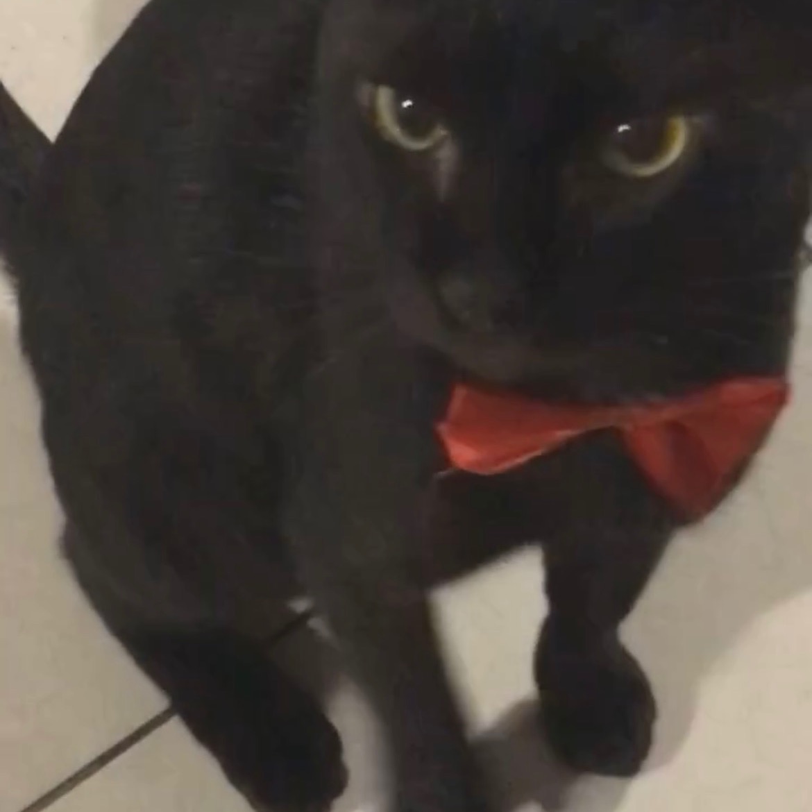 testing ganti audio 30 sep