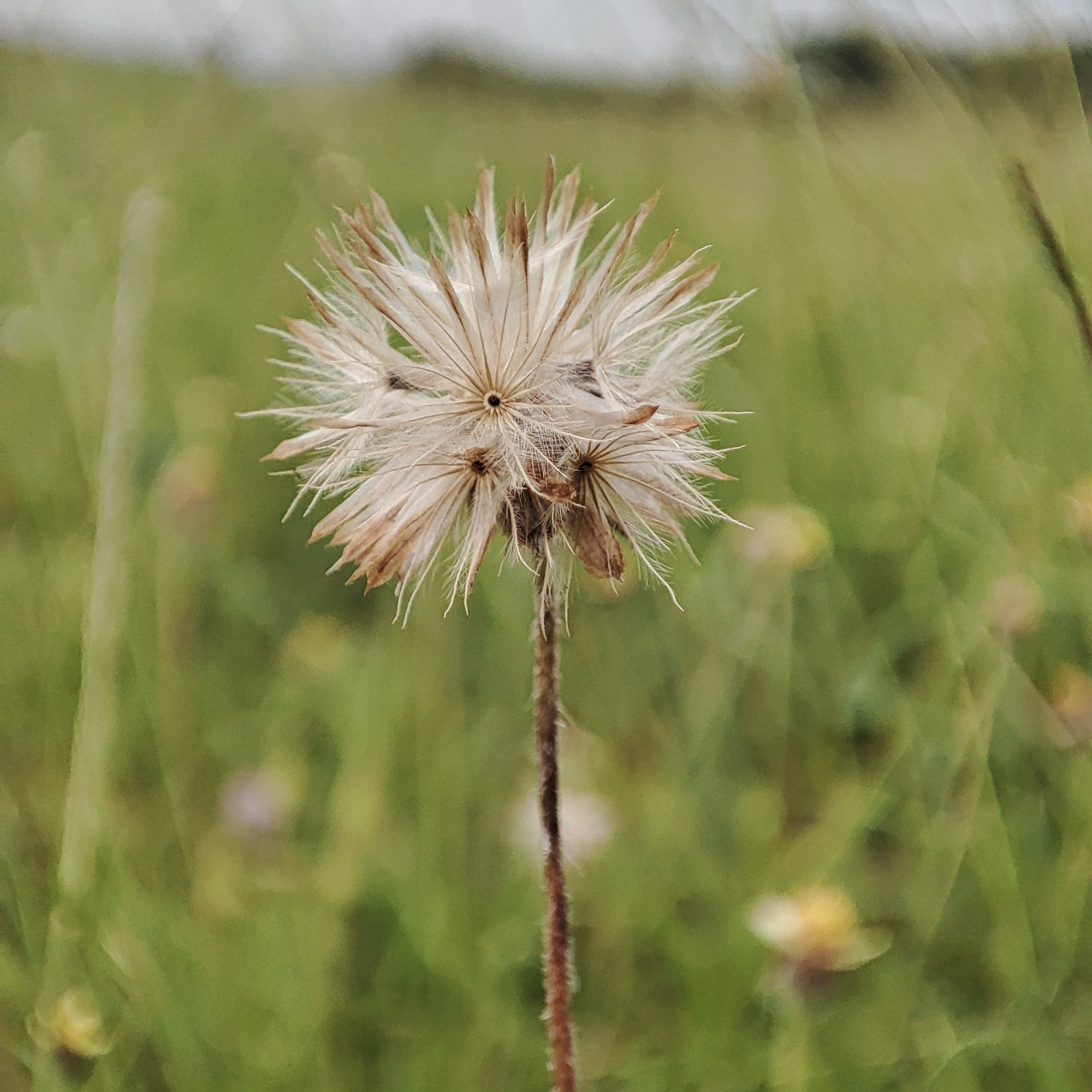 Masa lalu yang belum usai
