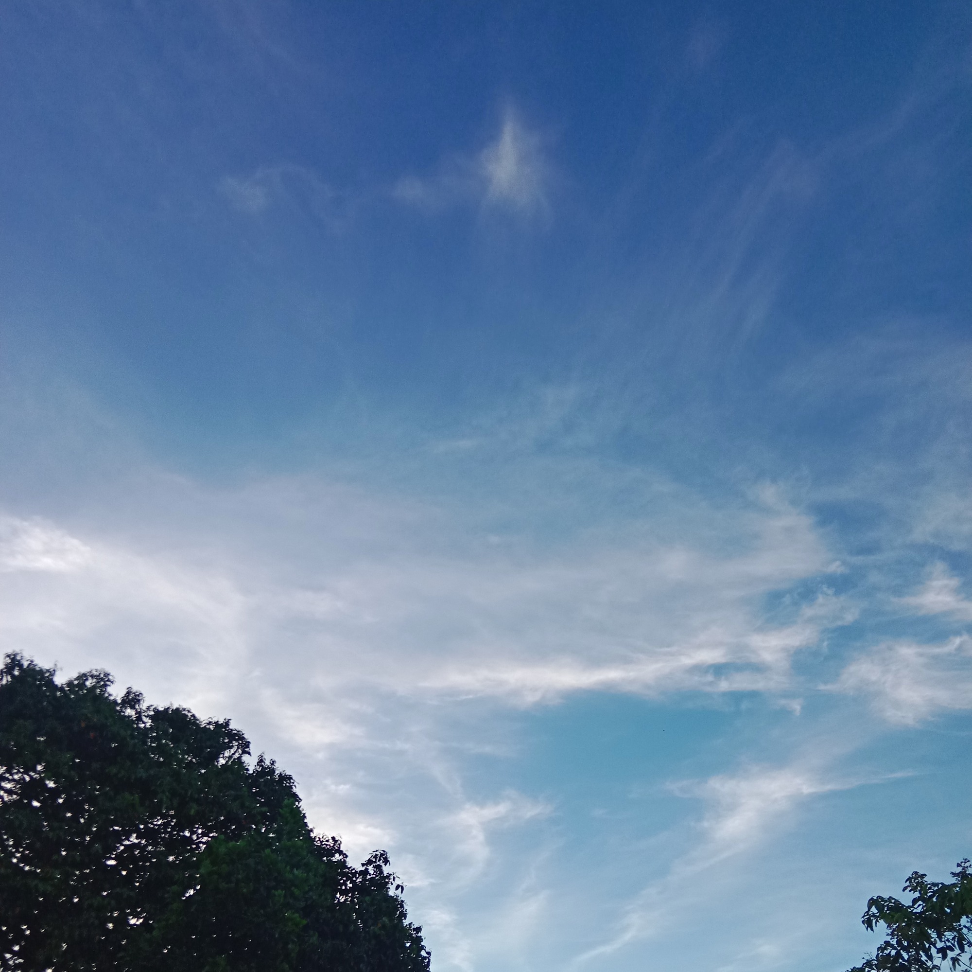 Dia Yang Tak Bisa Dimiliki 