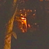 Episode 1: Legenda Hantu Merah UI #UIPodcastHero