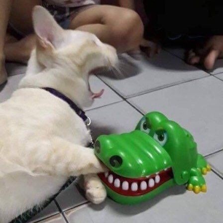 Hari - hari dijalani