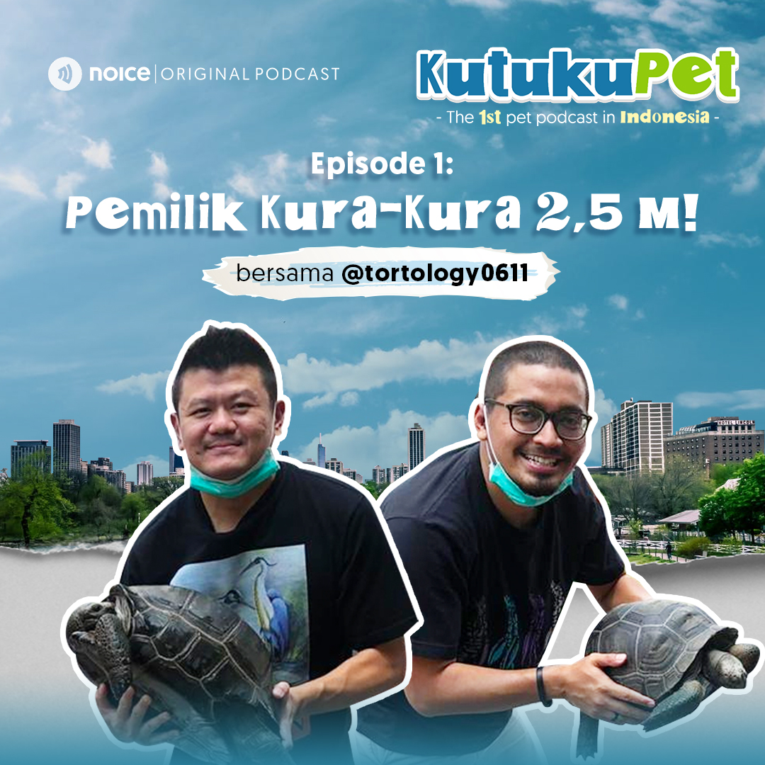 Eps 01: Pemilik Kura-Kura 2,5 M! (bersama @tortology0611)