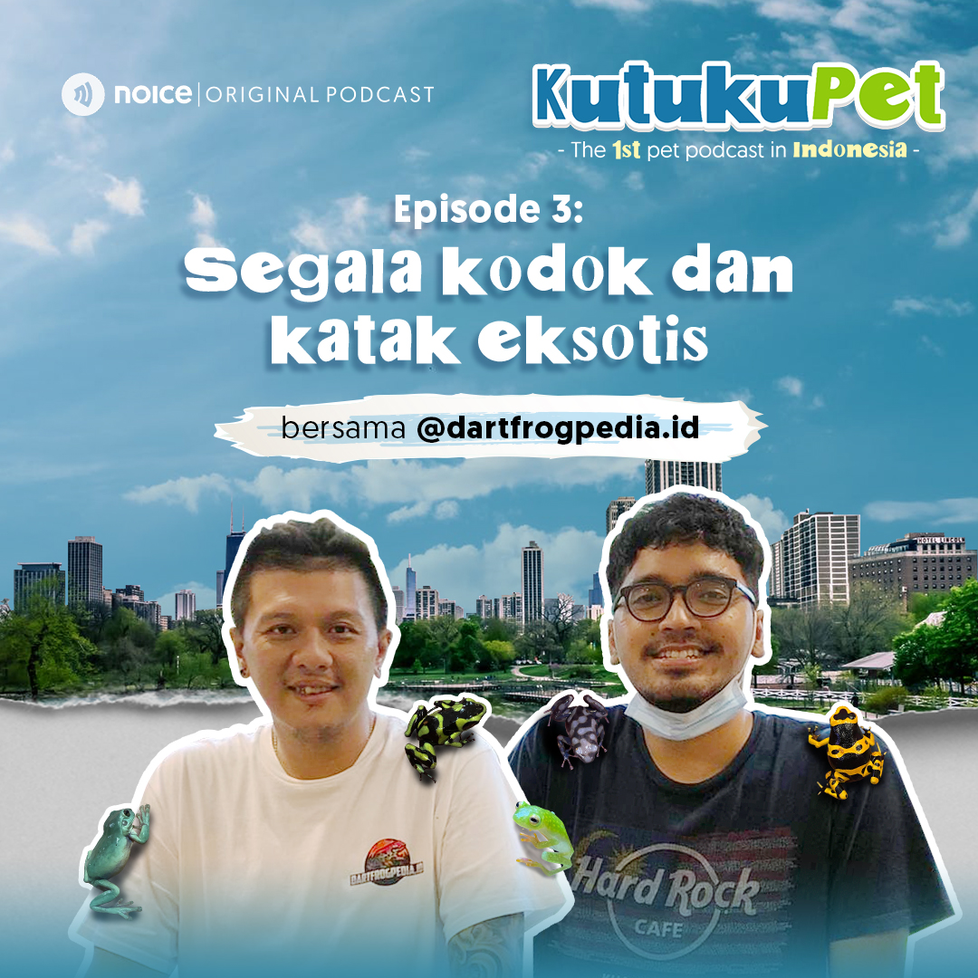 Eps 03: Segala Kodok dan Katak Eksotis (bersama @dartfrogpedia.id)