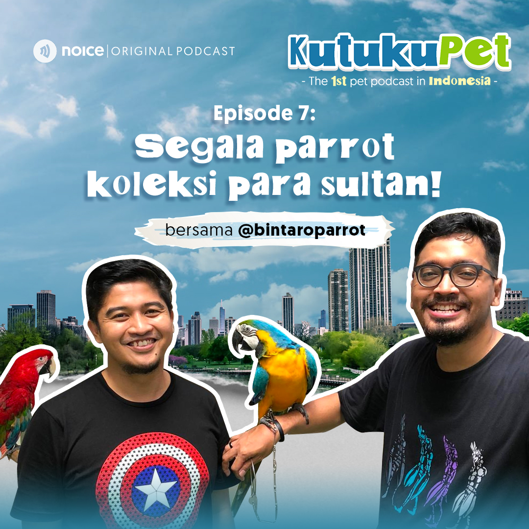 Eps 07: Segala parrot koleksi para sultan! (bersama : @bintaroparrot)