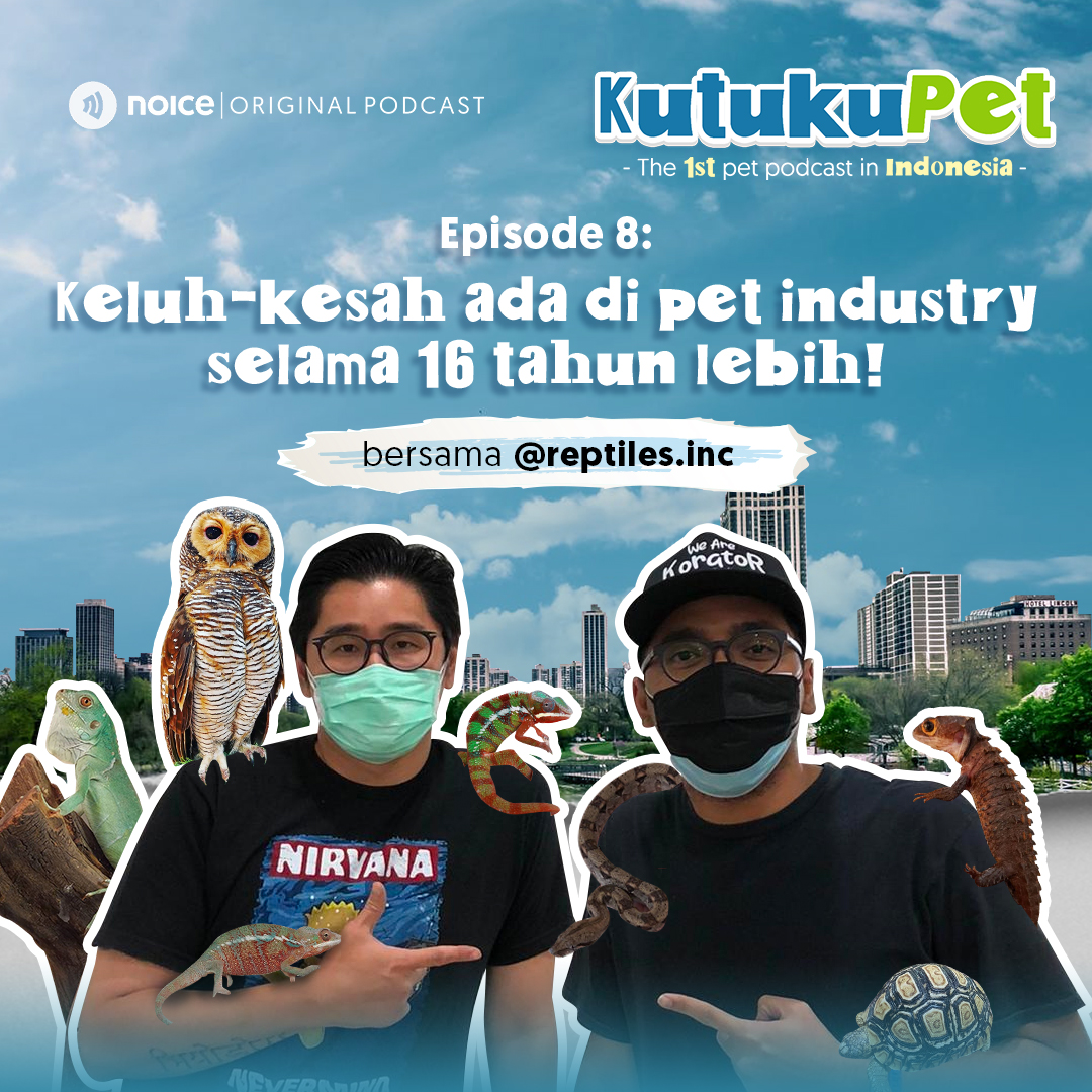 Eps 08: Keluh-kesah ada di pet industry selama 16 tahun lebih! (bersama @reptiles.inc)