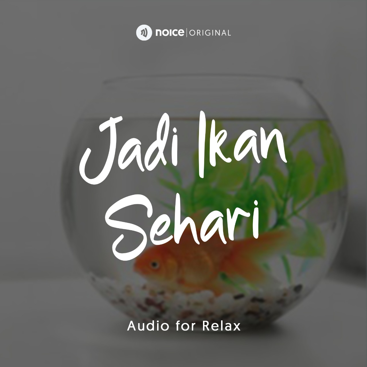 Jadi Ikan Sehari