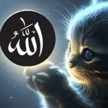 Ngulik a bout Musywil anyaran 