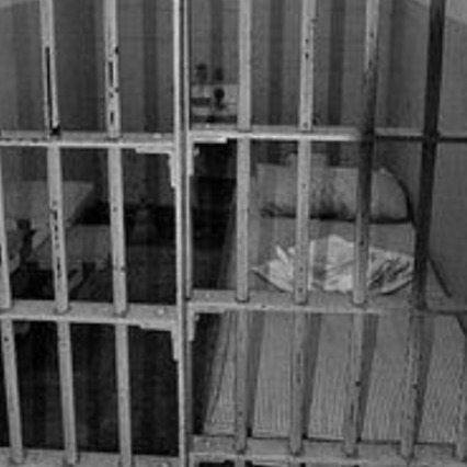 BETAPA KEJAMNYA SEL TIKUS