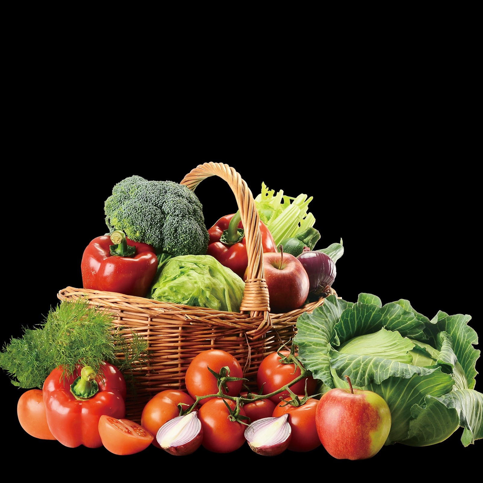 Ngga nyangka ciplukan bisa ngobatin ini