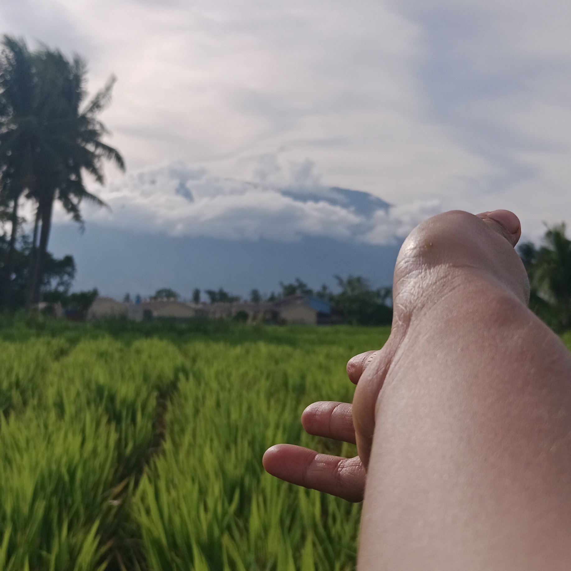 Keluhan di hari kehilangan