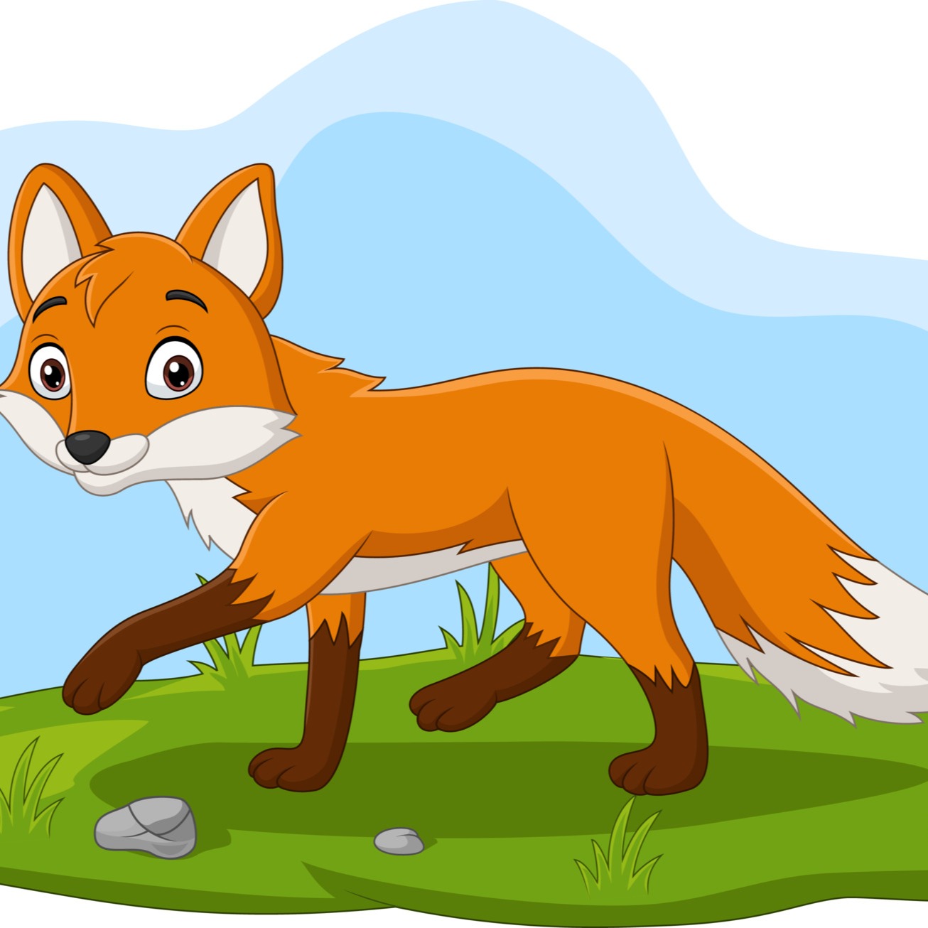 Red Foxes aren't they so cute 