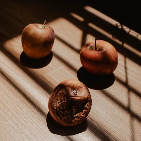 Buah Kebencian (Matius 27:11-31)