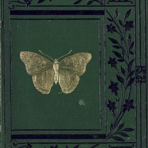 just trying things out 