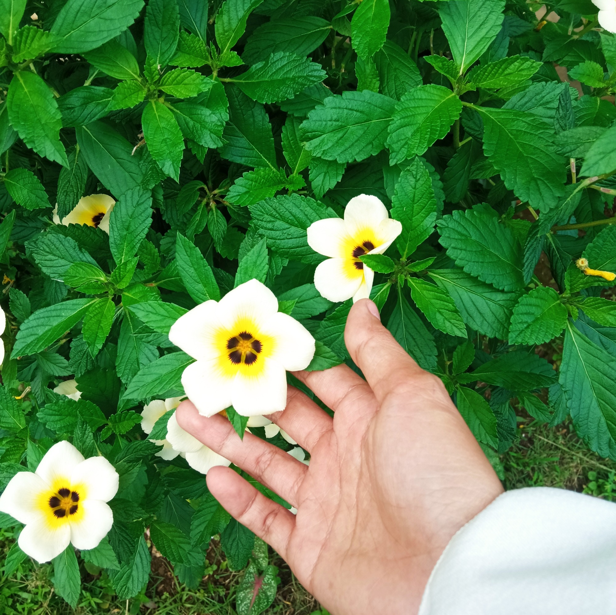 MasyaAllah-Alhamdulillah-Semoga