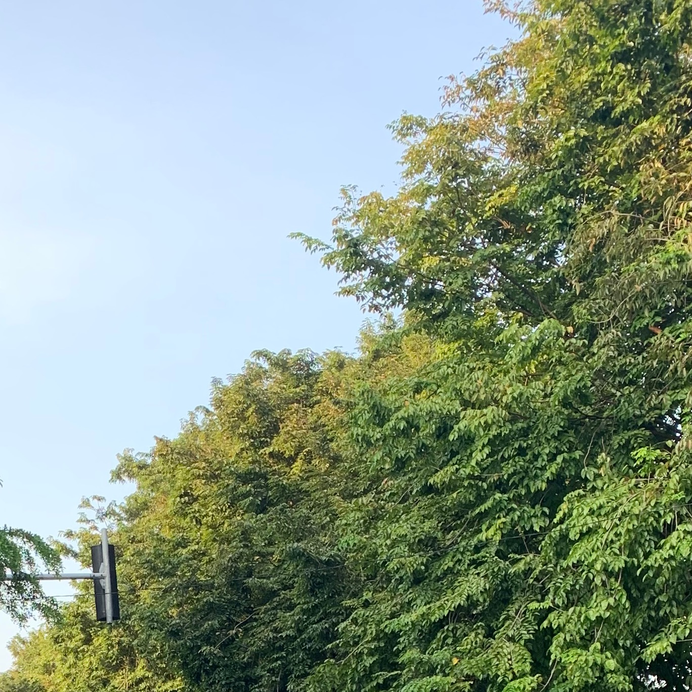 GAMINGGU/.1 #Binusian