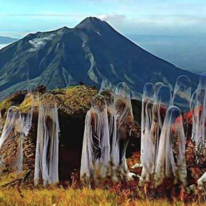 Kumpulan Cerita Misteri Gunung #binusian