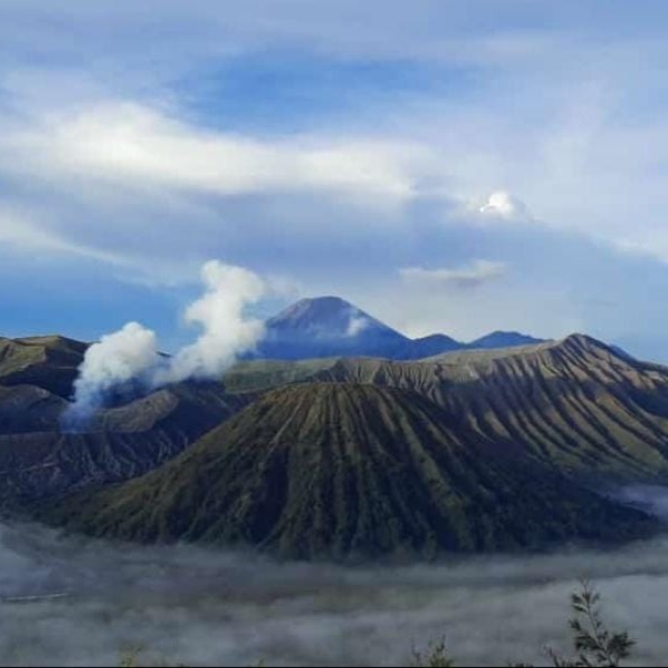 Trailer Introduction #Binusian