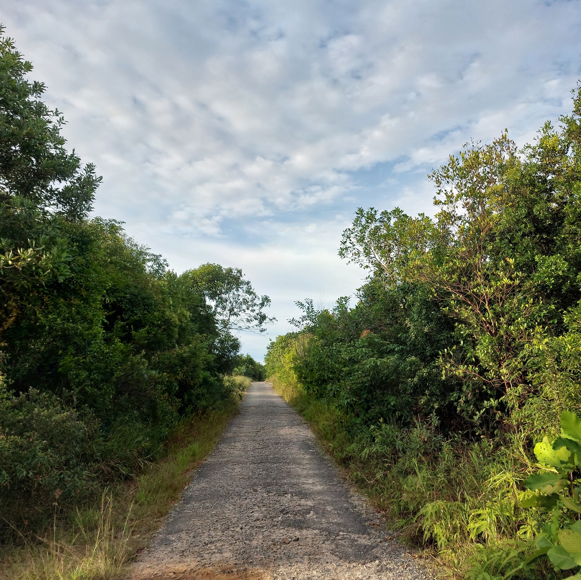 LIFE-Belajar dari pengalaman#Binusian
