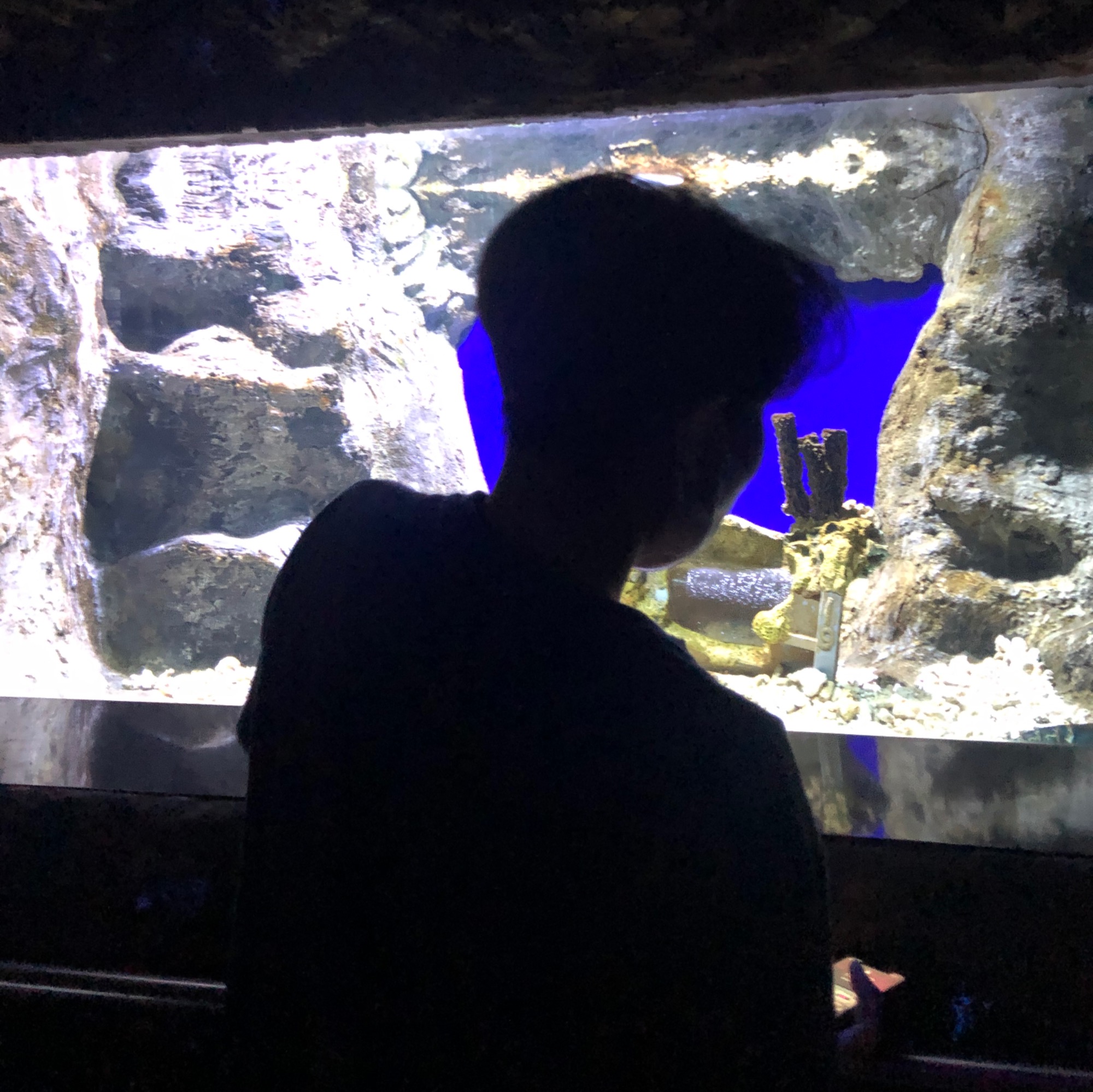 01– dia yang selalu aku ceritakan.