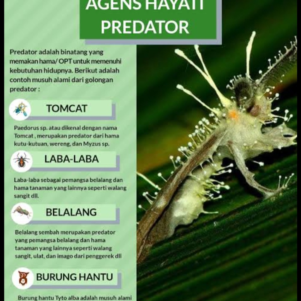 Program Agensi Hayati Bersama Pak Iyon