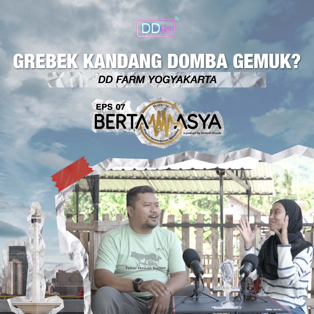 GREBEK KANDANG DOMBA DD FARM DIY, DOMBANYA GEMUK? KOK BISA?! 