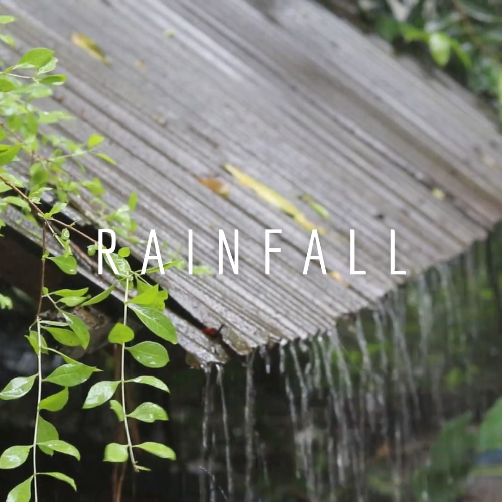 Relaksasi Suara Hujan di Atap Genting