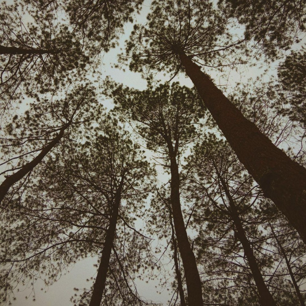 HAMPIR MENJADI TUMBAL DI GUNUNG SEMERU!