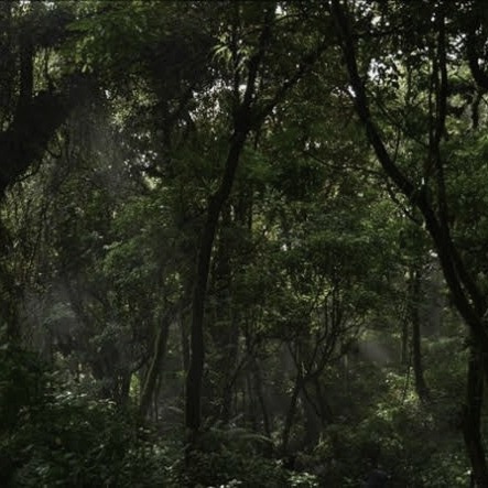 DITAMPAKAN SOSOK MAHKLUK HALUS DAN SUARA GAMELAN