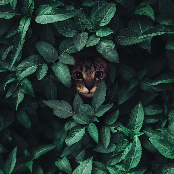 Memulai Dengan Orang Baru?