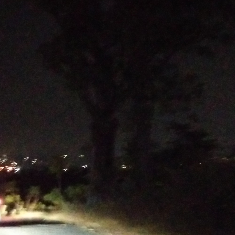 Ketemu kakek kakek di hutan?😨😨😨