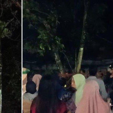 Penunggu Pohon Rambutan