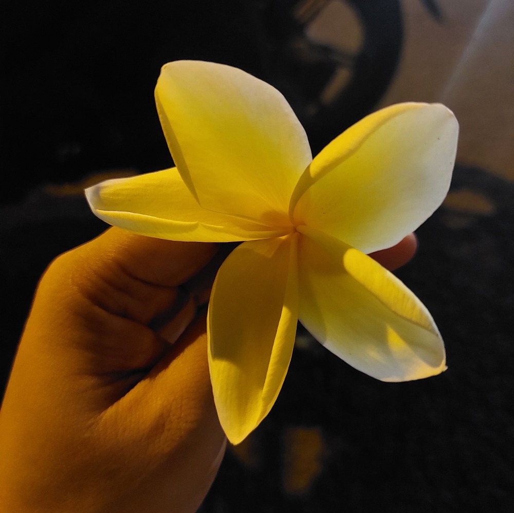 Buat apa sih si lu hidup ?