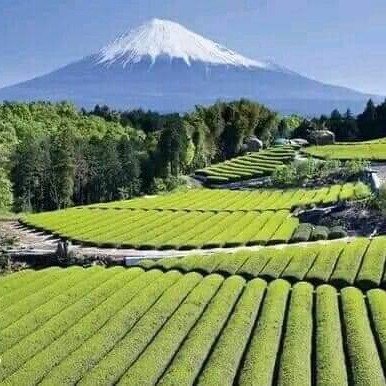 Ngobrol perdana dengan Putri 
