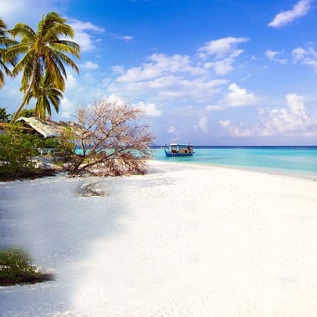 Pengalaman Liburan di Pulau Berpenghuni