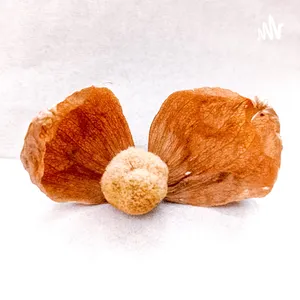 mencoba