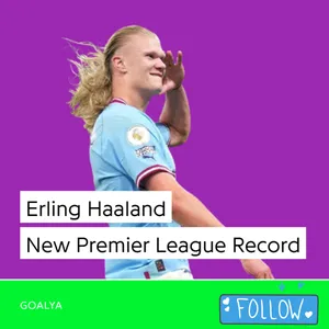 Erling Haaland New Record | Premier League