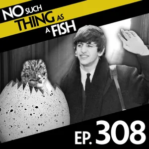 308: No Such Thing As The Land Of Flying Sheep